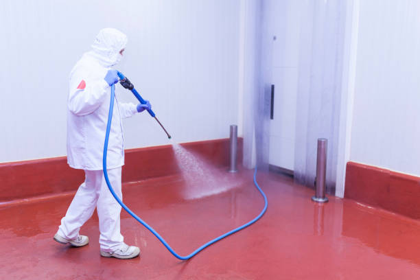 Best Patio and Deck Pressure Washing  in Sausalito, CA